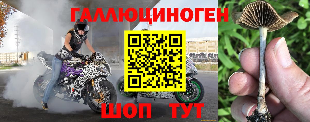 Галлюциногенные грибы мухоморы  Вход с VPN  Усолье-Сибирское 